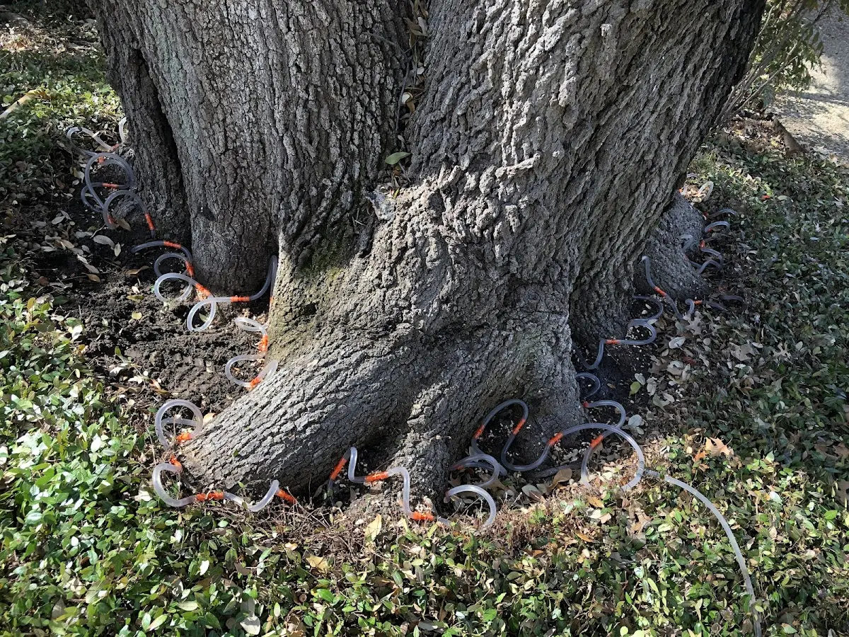 Detailed Shrub and Hedge Trimming job site in Harrah