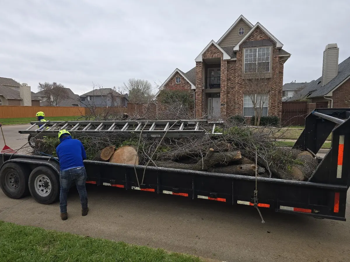 Expert Tree Pest Control with proper safety equipment in Harrah